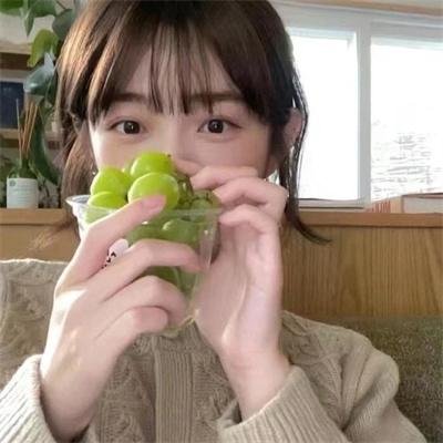 书记日记